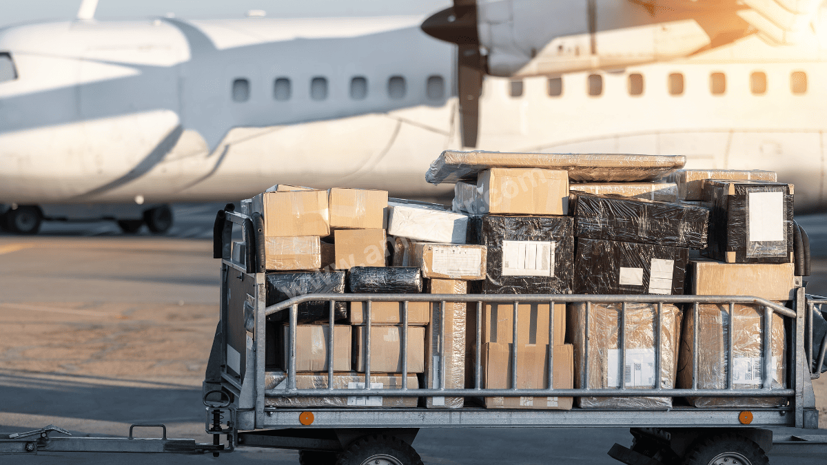 Gölköy Parça Yük Taşıma